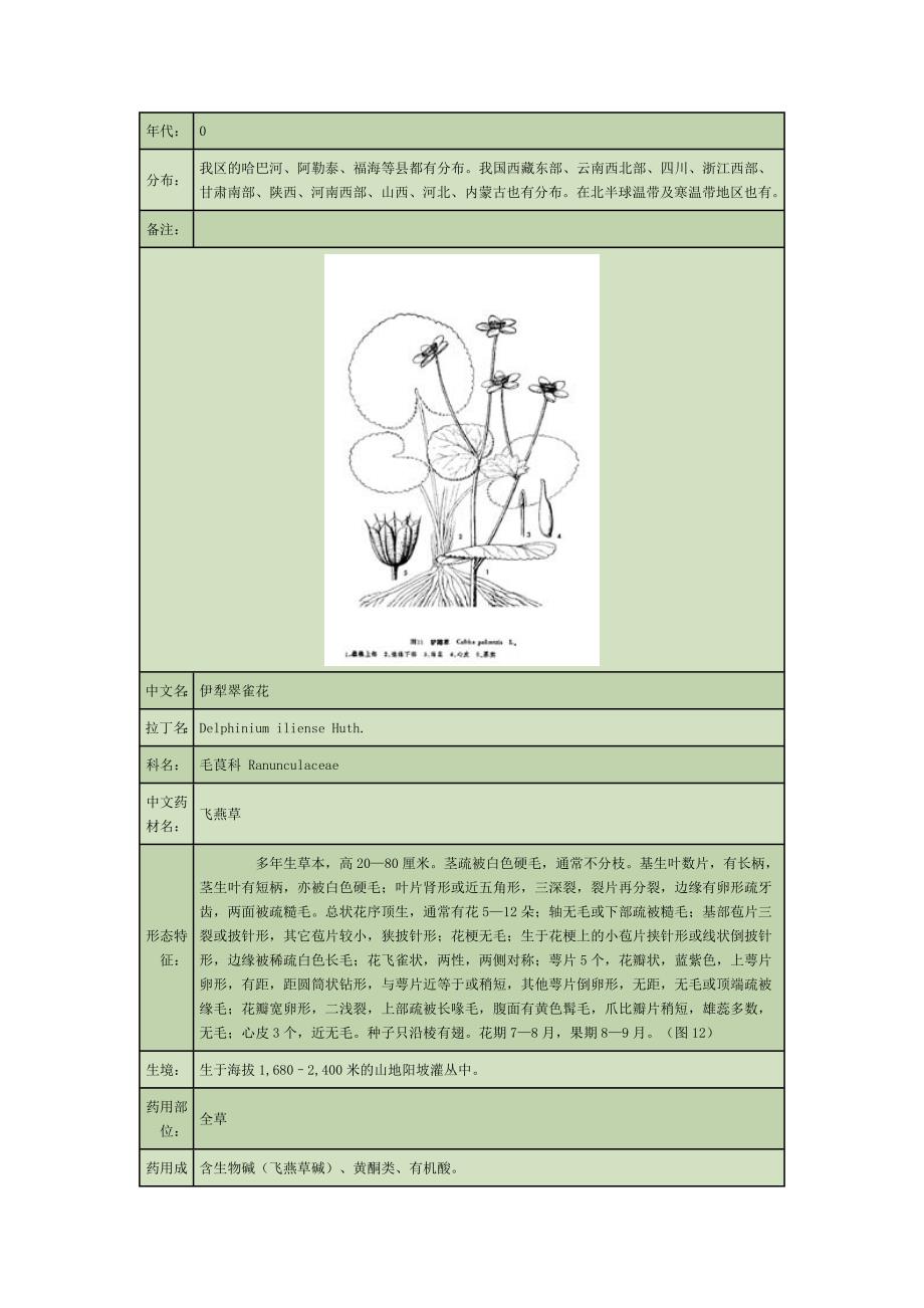 (医疗药品管理)药用植物2_第4页