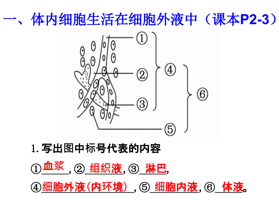 第一章人体的内环境与稳态(上课)_第2页