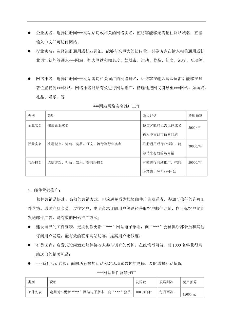 管理信息化网站推广方案_第5页