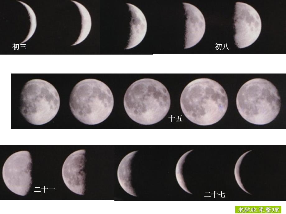 六年级下册科学第三四单元课件教学文案_第2页