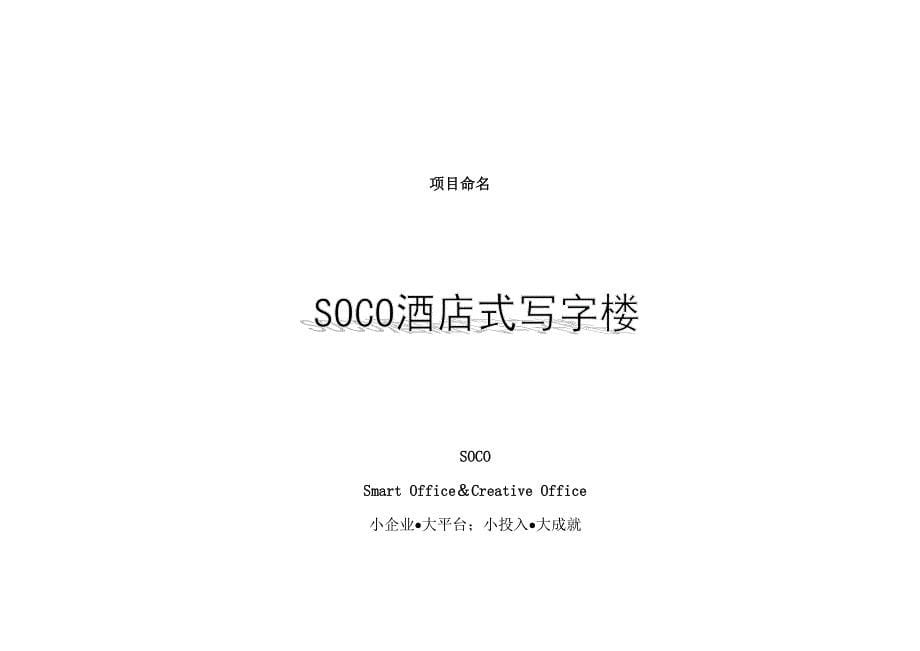 (酒类资料)adp1126中旅商务大厦酒店式写字楼推广计划_第5页