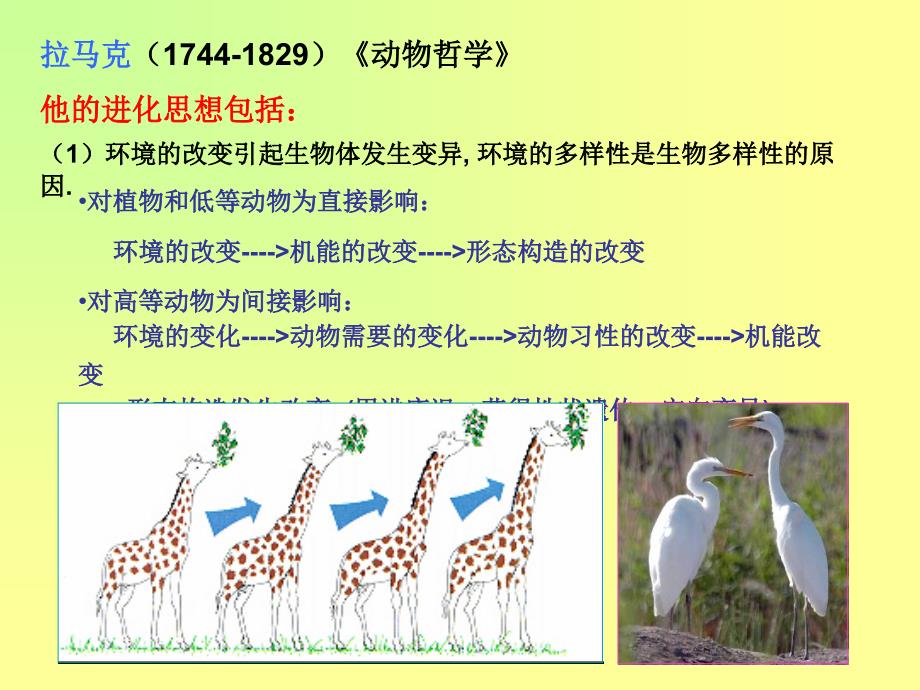 地球上有1300万－1400万个物种其中被人类认识并定名的约175万种（13％）知识分享_第4页