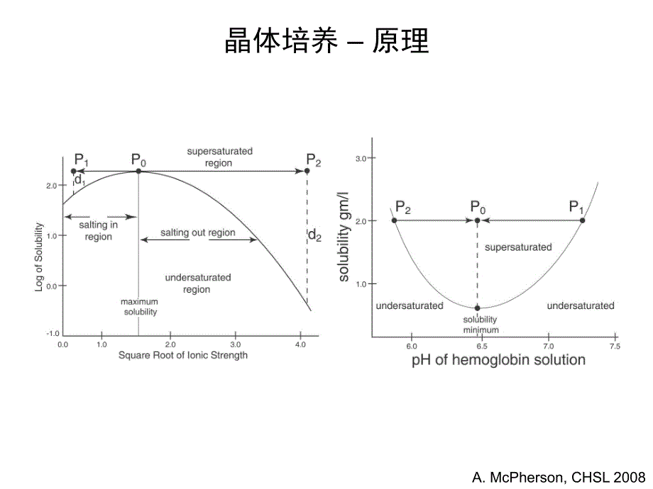 蛋白质晶体的生长冻存及装载课件_第4页