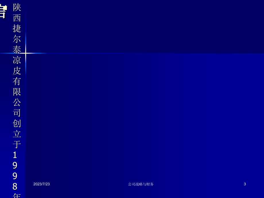 公司战略与财务课件讲课教案_第3页