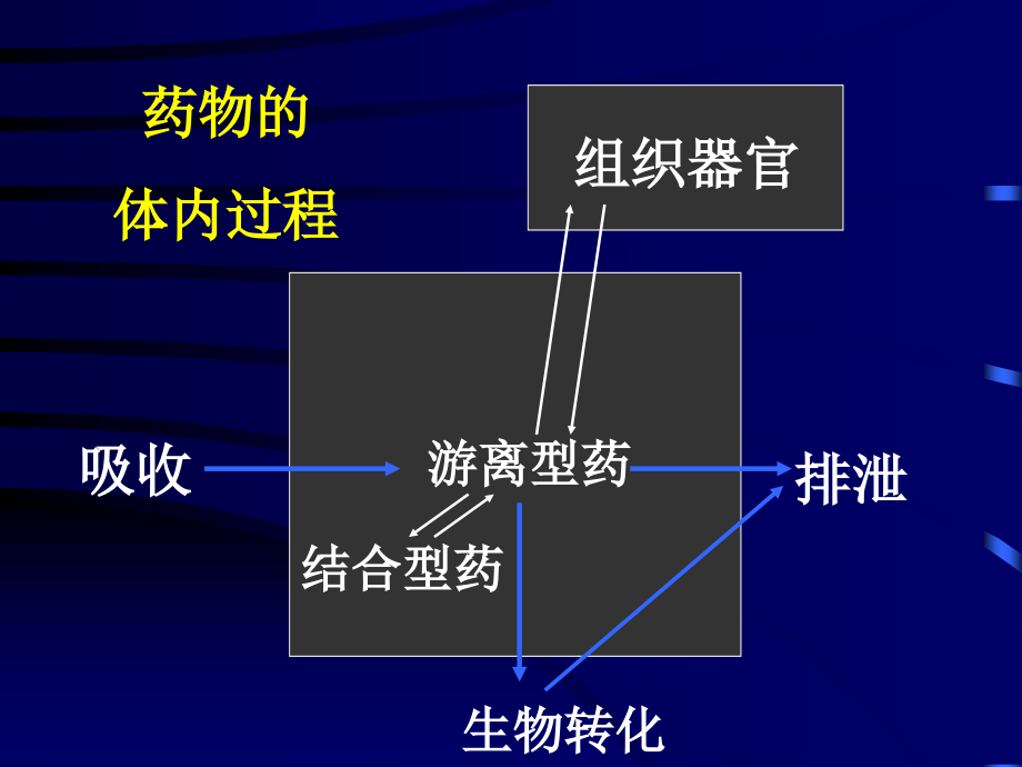 二章节药物代动力学演示教学_第3页