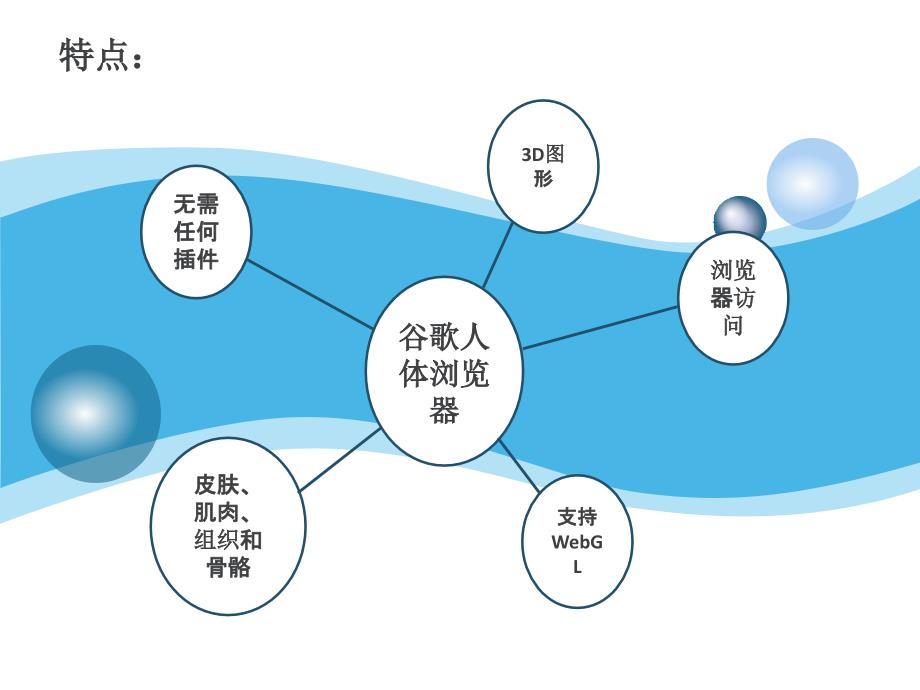 谷歌人体展示课件_第4页