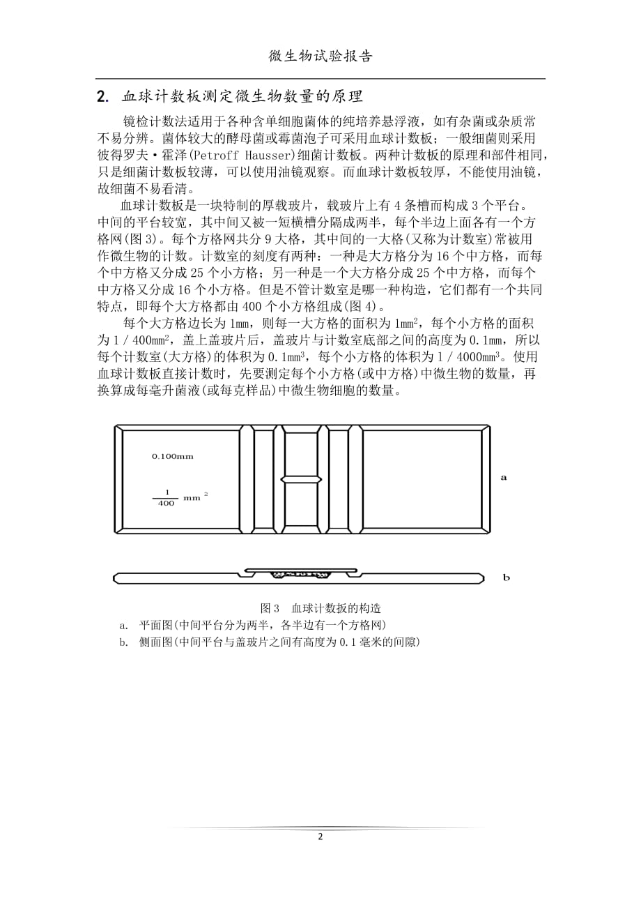 (生物科技)微生物的大小及数量的测定精品_第2页