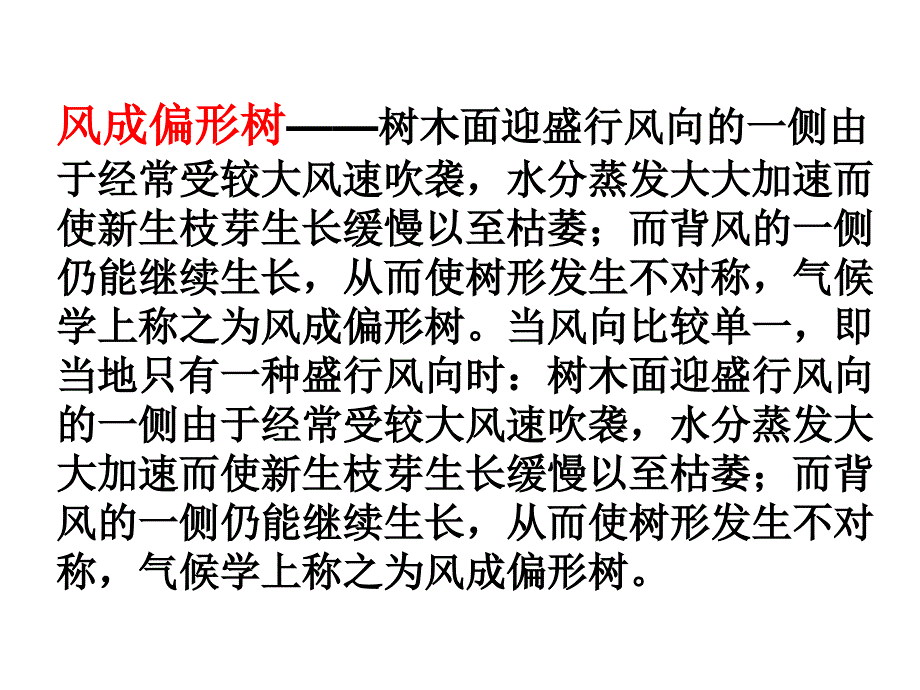 苏教版语文六年级上册《练习五》讲解学习_第4页