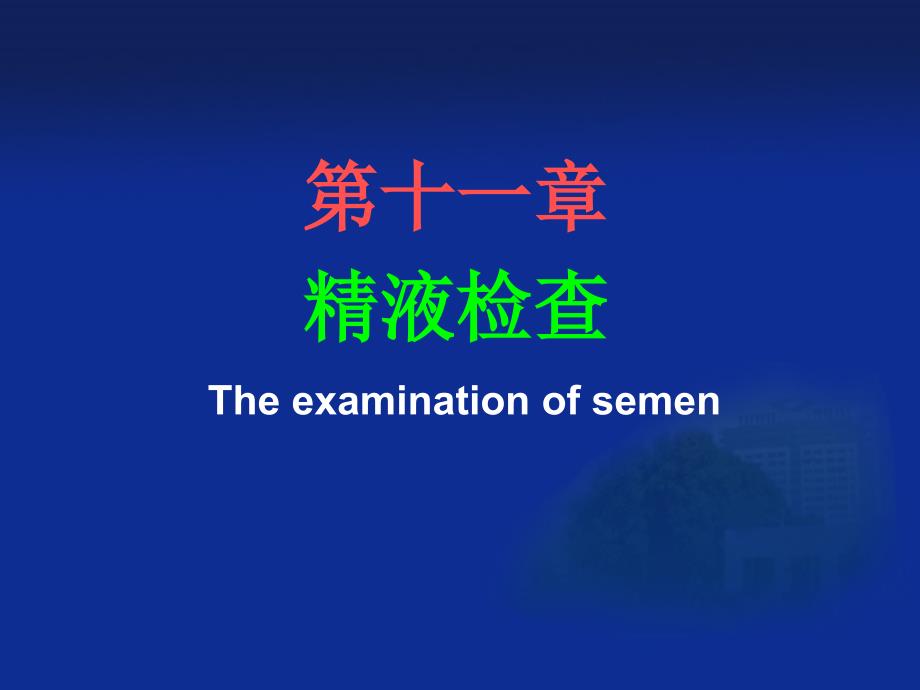 第十一精液检查Theexaminationofsemen电子教案_第1页