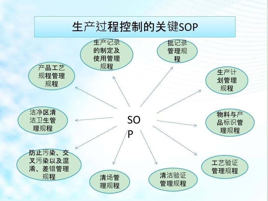 药品生产过程质量控制课件_第5页