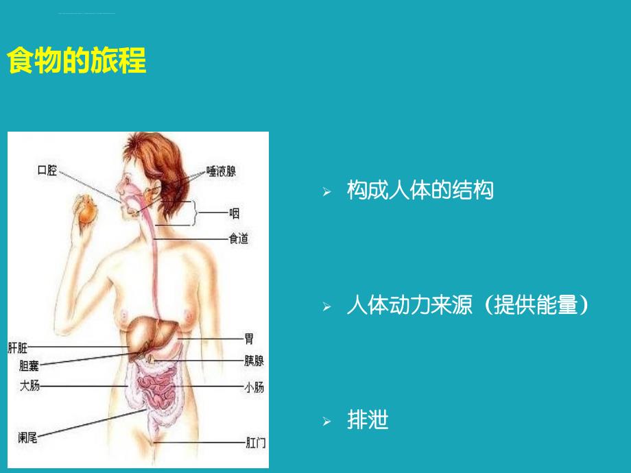 营养素的作用机理及与疾病的关系素材课件_第3页