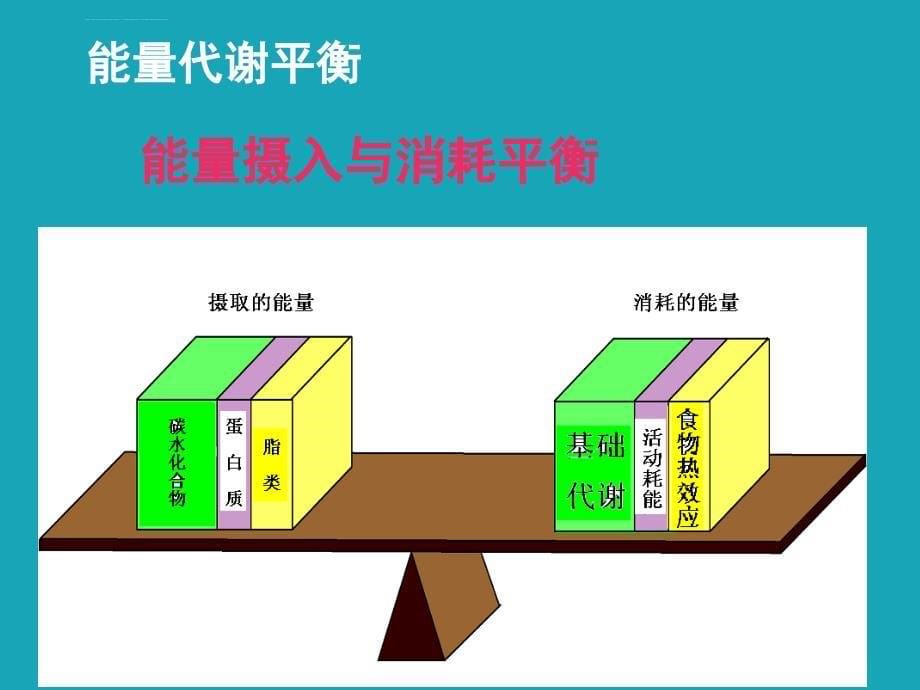 营养素的作用机理及与疾病的关系素材课件_第5页