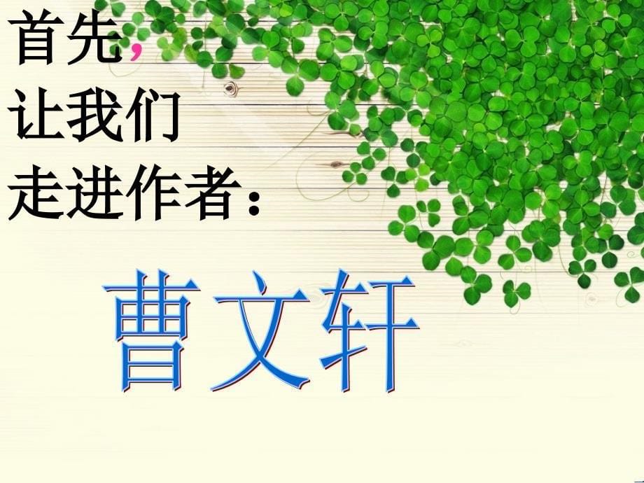 读书交流会《青铜葵花》课件_第5页