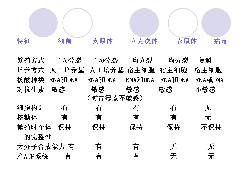 第四部分支原体立克次氏体衣原体教学课件教学讲义_第2页