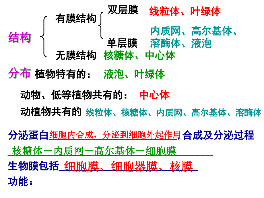 高三冲刺阶段部分重点章节节复习章节件讲课教案_第3页