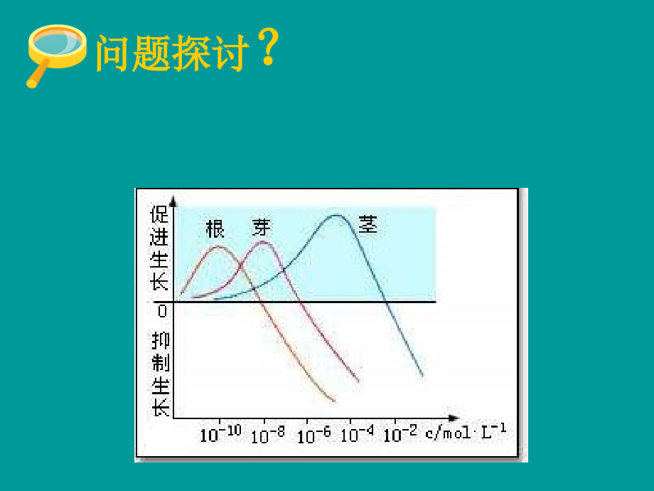 第二部分生长素的生理作用电子教案_第3页