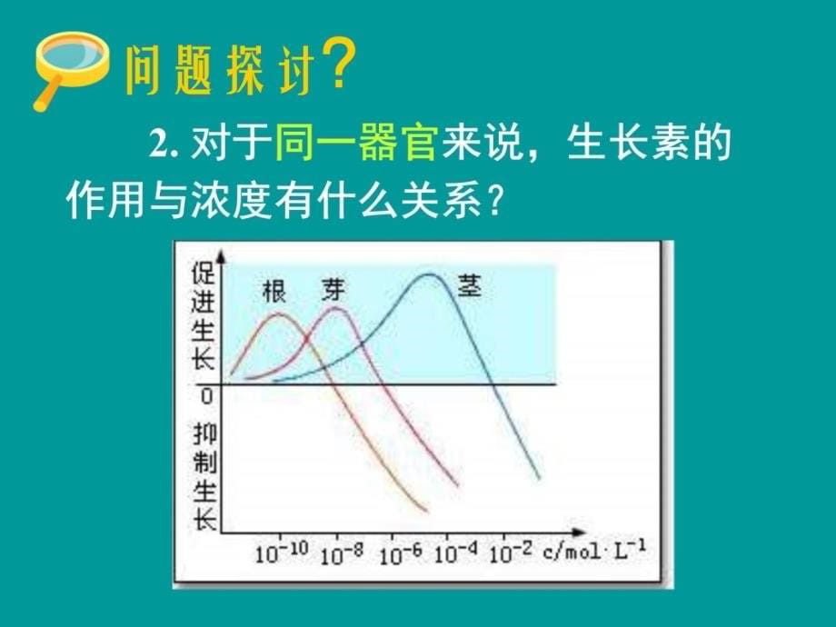 第二部分生长素的生理作用电子教案_第5页