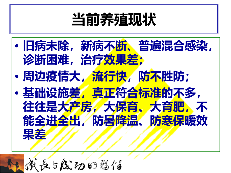 规模化猪场建议保健方案课件_第2页