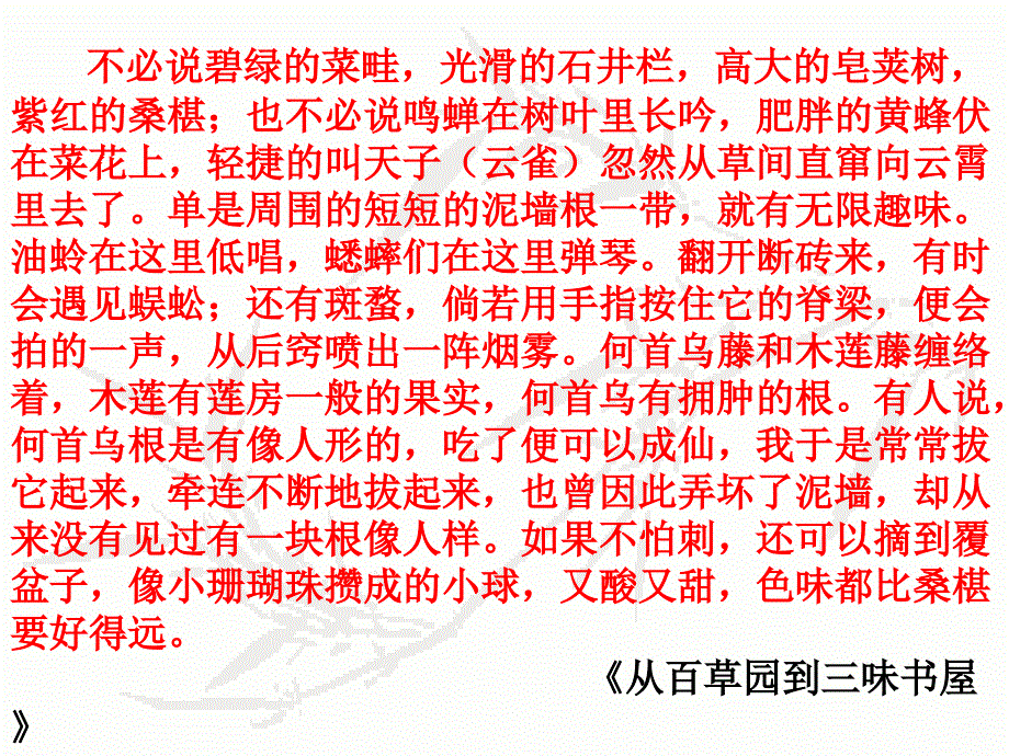 让细节丰富你的文章――感受细节描写的魅力课件_第4页