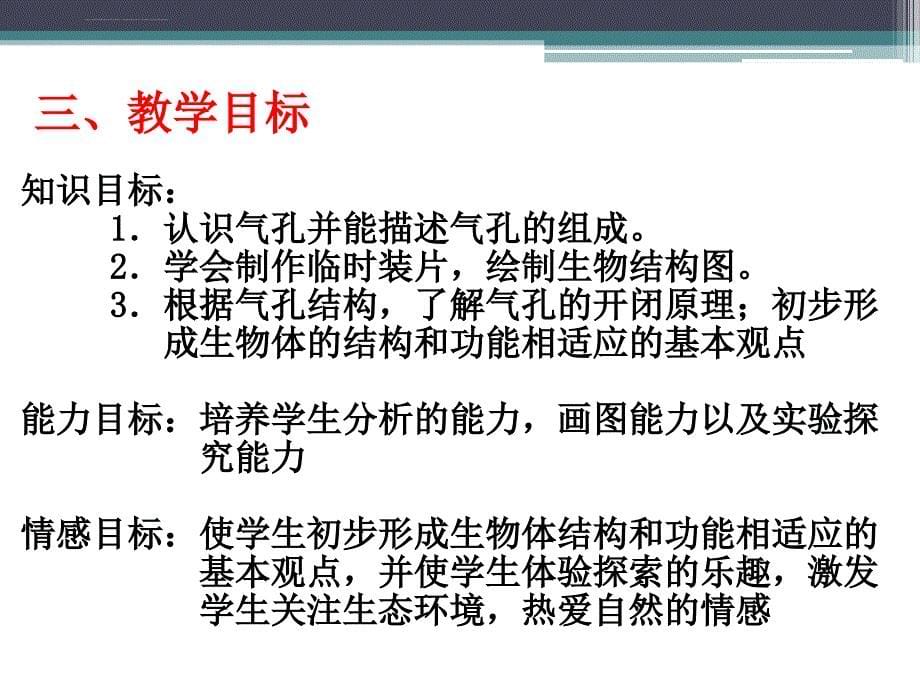 观察植物叶下表皮气孔课件_第5页