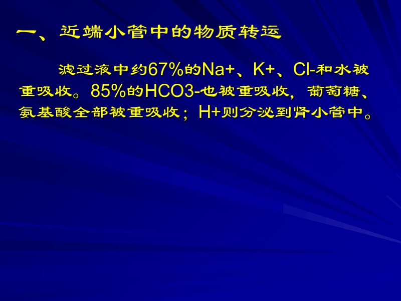 二影响肾小球滤过的因素演示教学_第4页