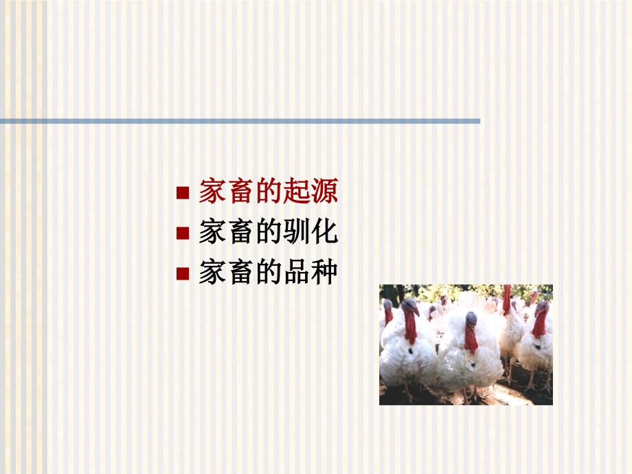 动物育种学课件-第－畜禽的起源驯化与品种教材课程_第4页