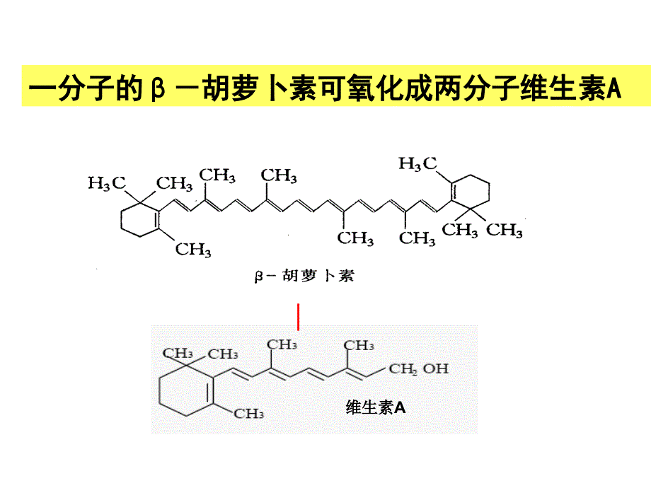 生物选修1：6.2胡萝卜素的提取[共17页]_第3页