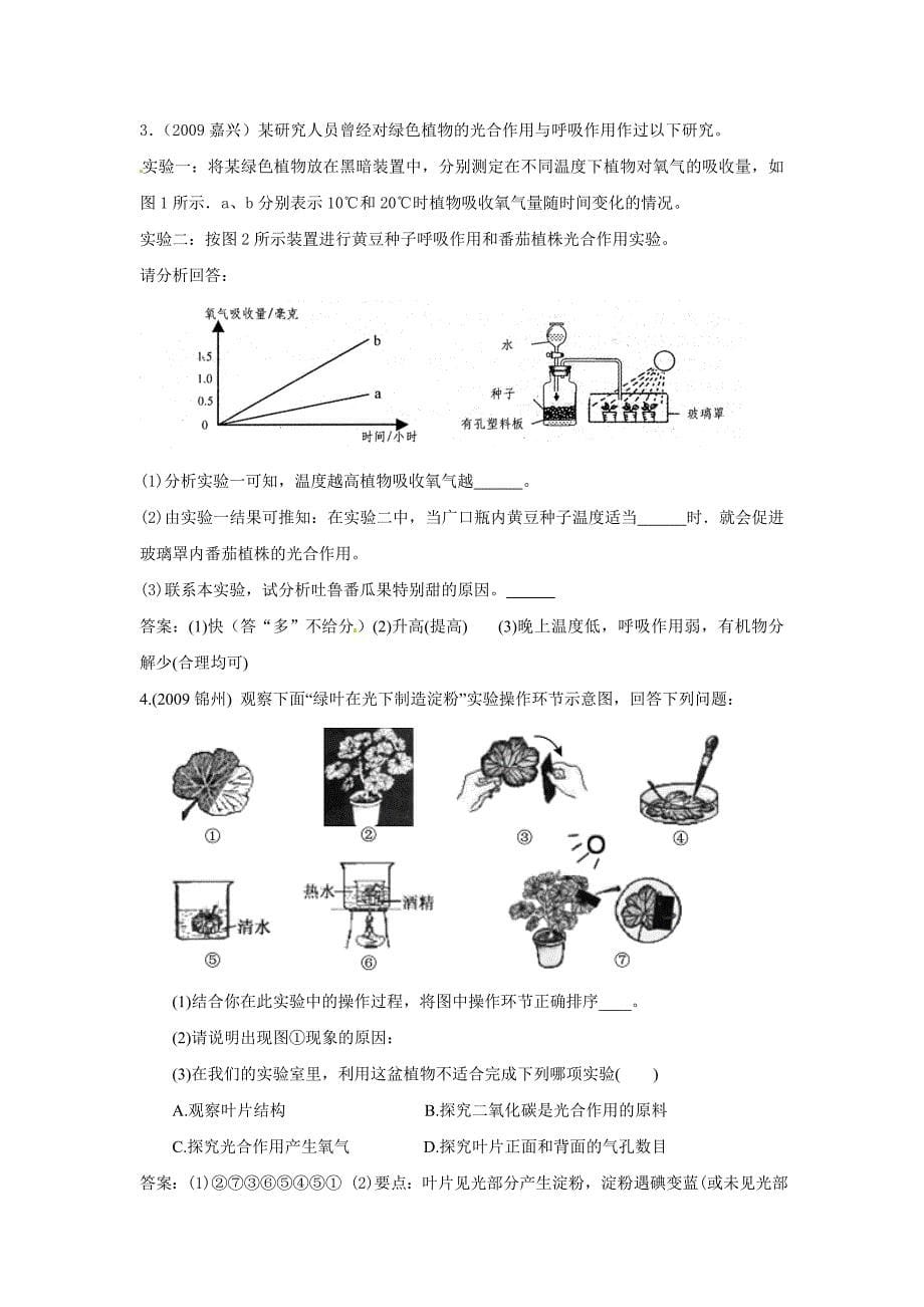 (生物科技)初中生物绿色植物精品_第5页