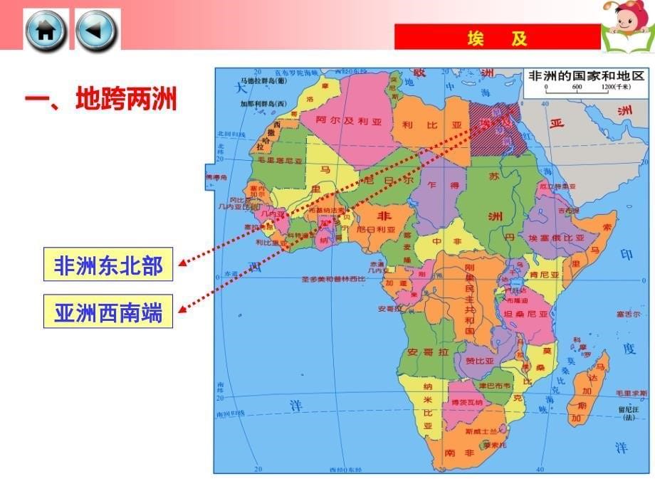 湘教-地理-七年级下-8.2 埃及.ppt_第5页