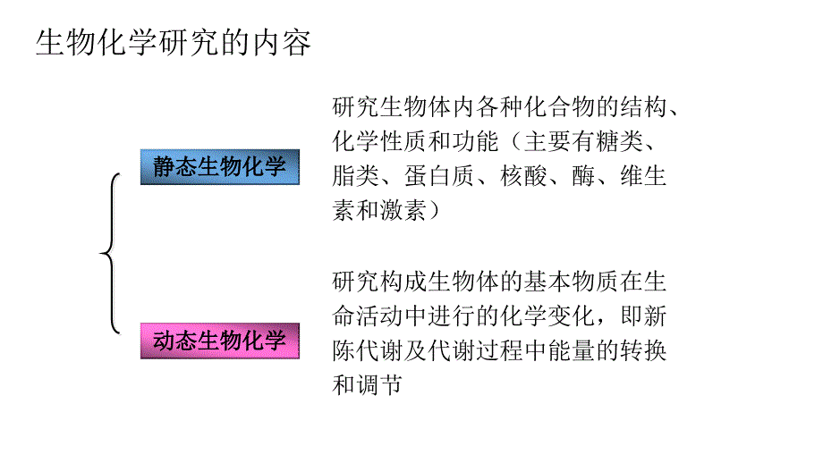 动物生物化学_知识点复习_第3页