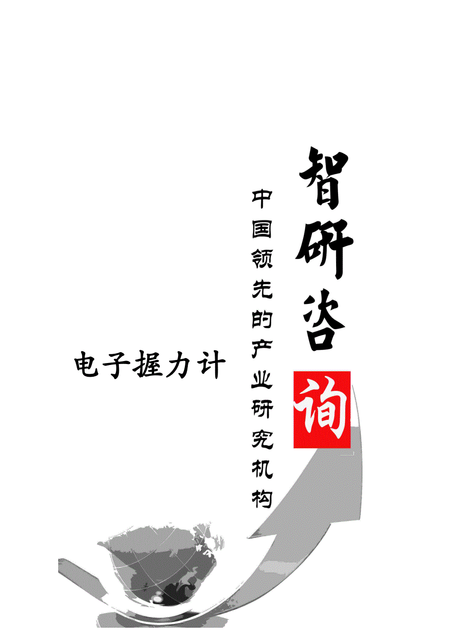 (电子行业企业管理)某某某2020年中国电子握力计行业全景调研与产业竞争格局精品_第1页