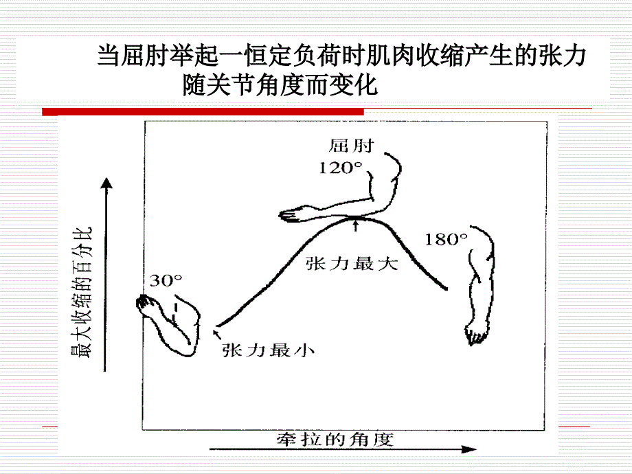 最全健身基础理论.ppt_第3页