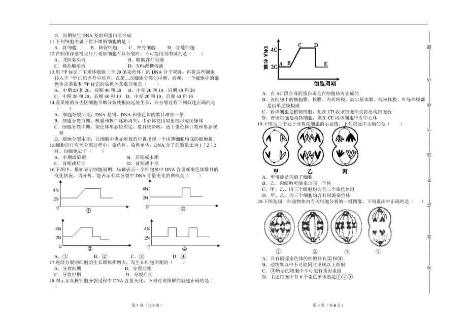 (生物科技)高中生物必修一单元测试4细胞增殖精品_第2页