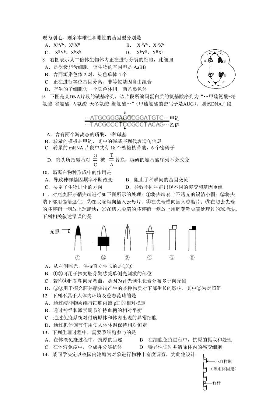 (生物科技)高三生物模拟测试试题精品_第2页