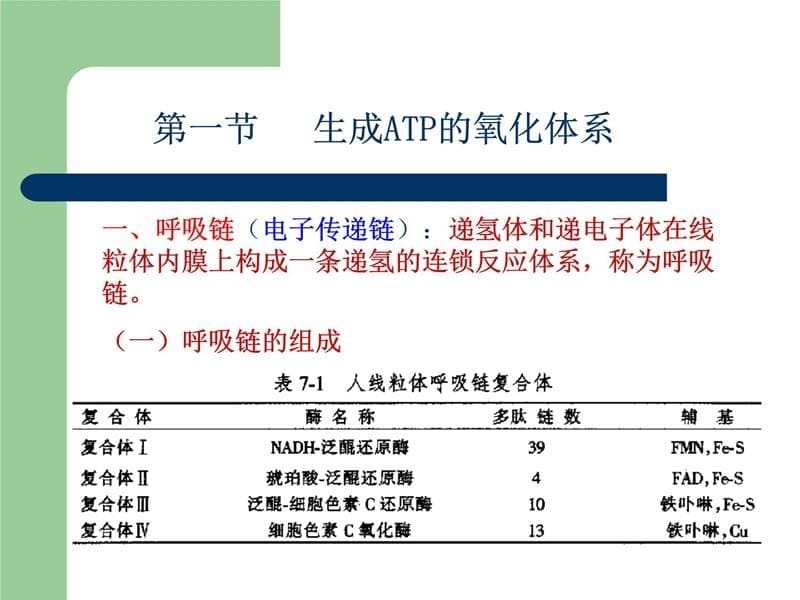 六章生物氧化biologicaloxidation讲课教案_第5页