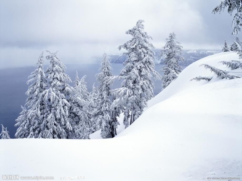 部编一年级上册新版《雪地里的小画家》课件_第3页