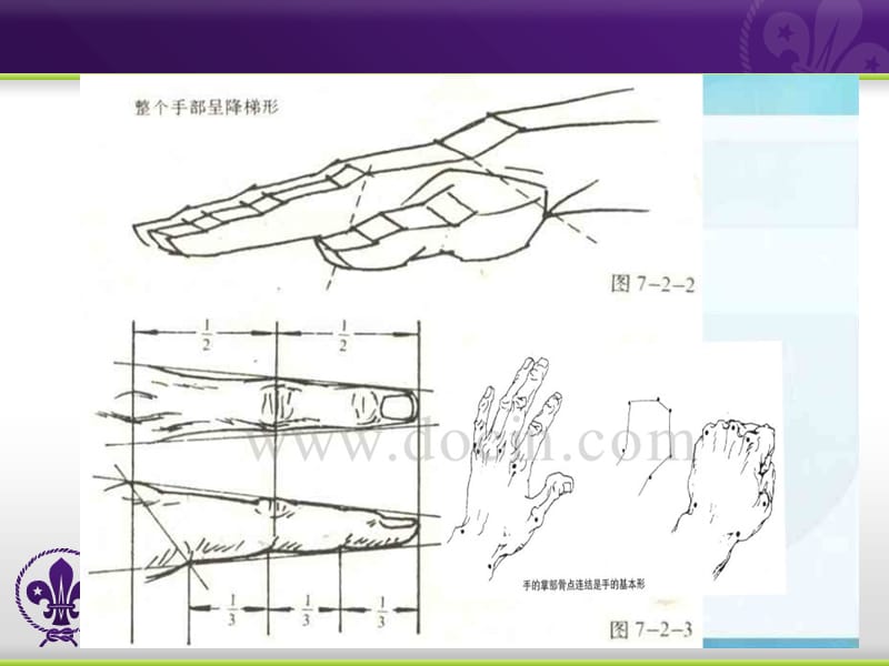 速写手和脚的画法课件_第4页