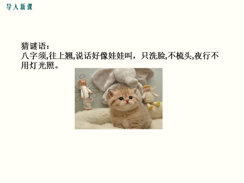 郑振铎《猫》新讲练ppt课件_第2页