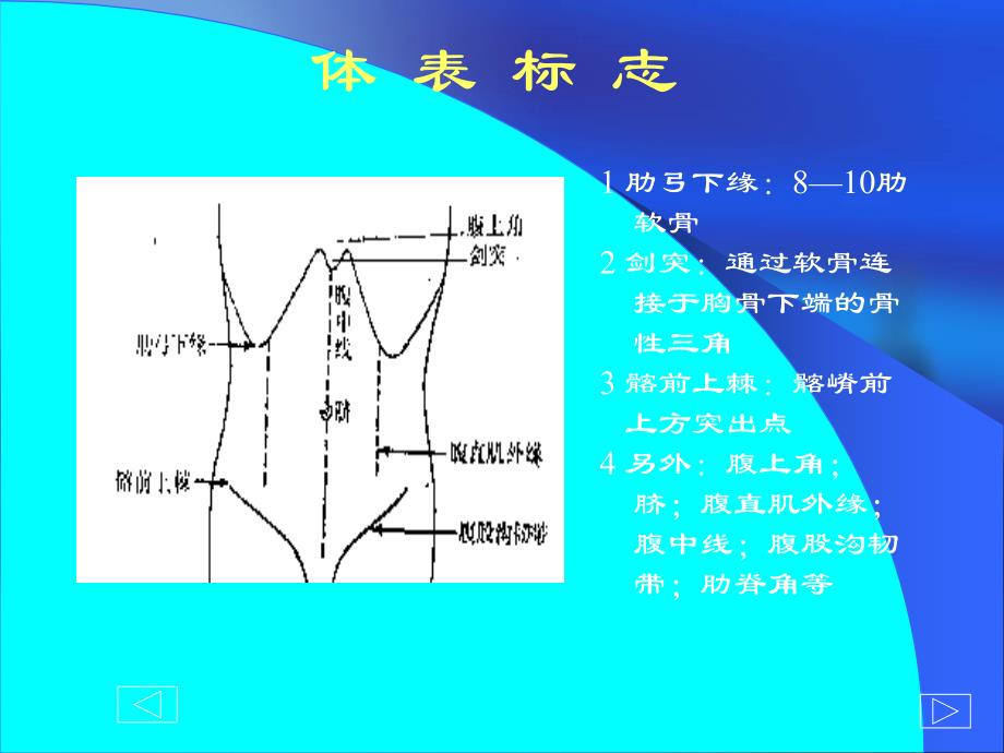 诊断学基础腹部.ppt_第3页