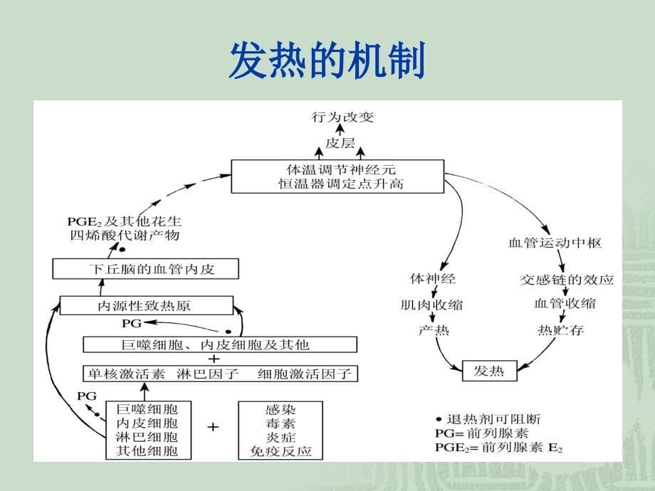 发热待查诊断PPT_第5页