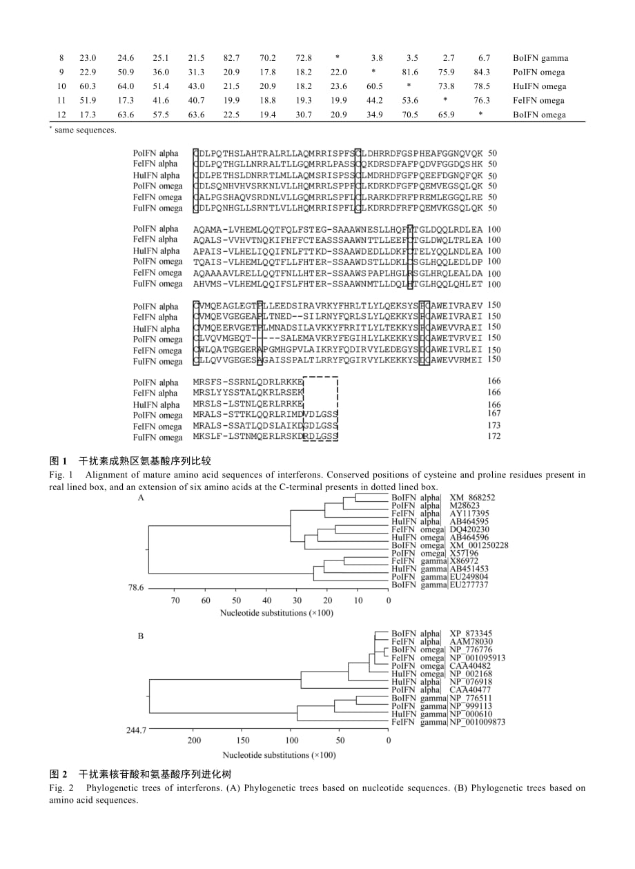 (医疗药品管理)猪I型与II型干扰素的克隆生物谷生物医药门户精品_第4页