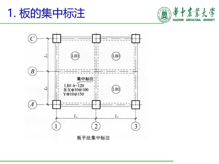 钢筋工程量计算(板)课件_第5页