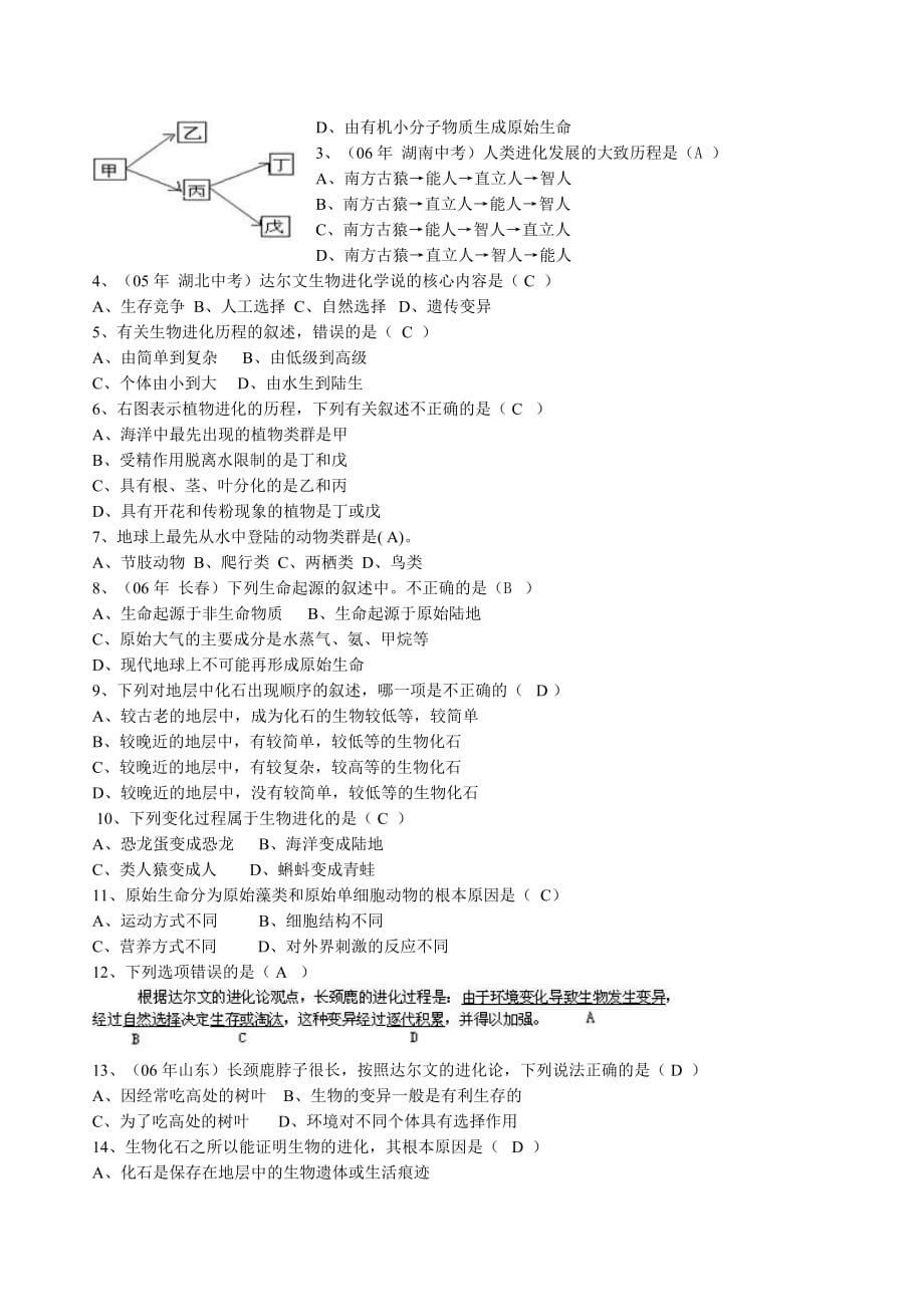 (生物科技)专题二生物的进化规律精品_第2页