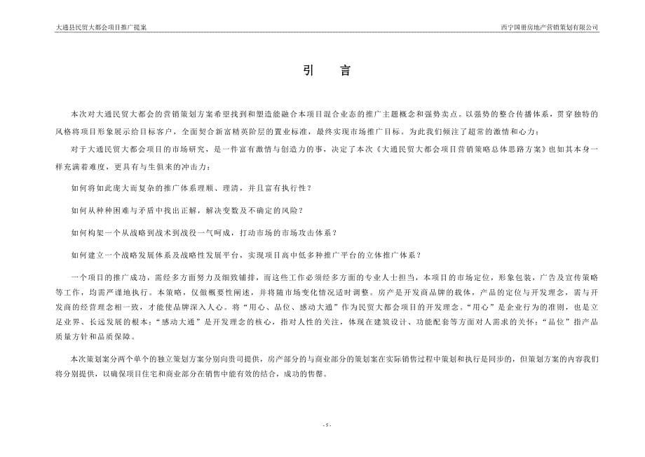 (房地产策划方案)民贸新天地商业地产策划方案精品_第5页