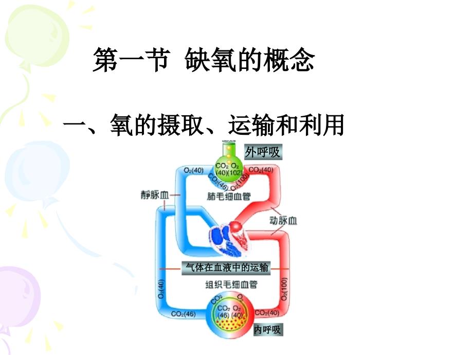 动物病理学缺氧PPT_第1页