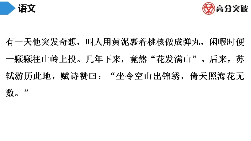 初中语文八年级阅读理解练习15（含答案）_第4页