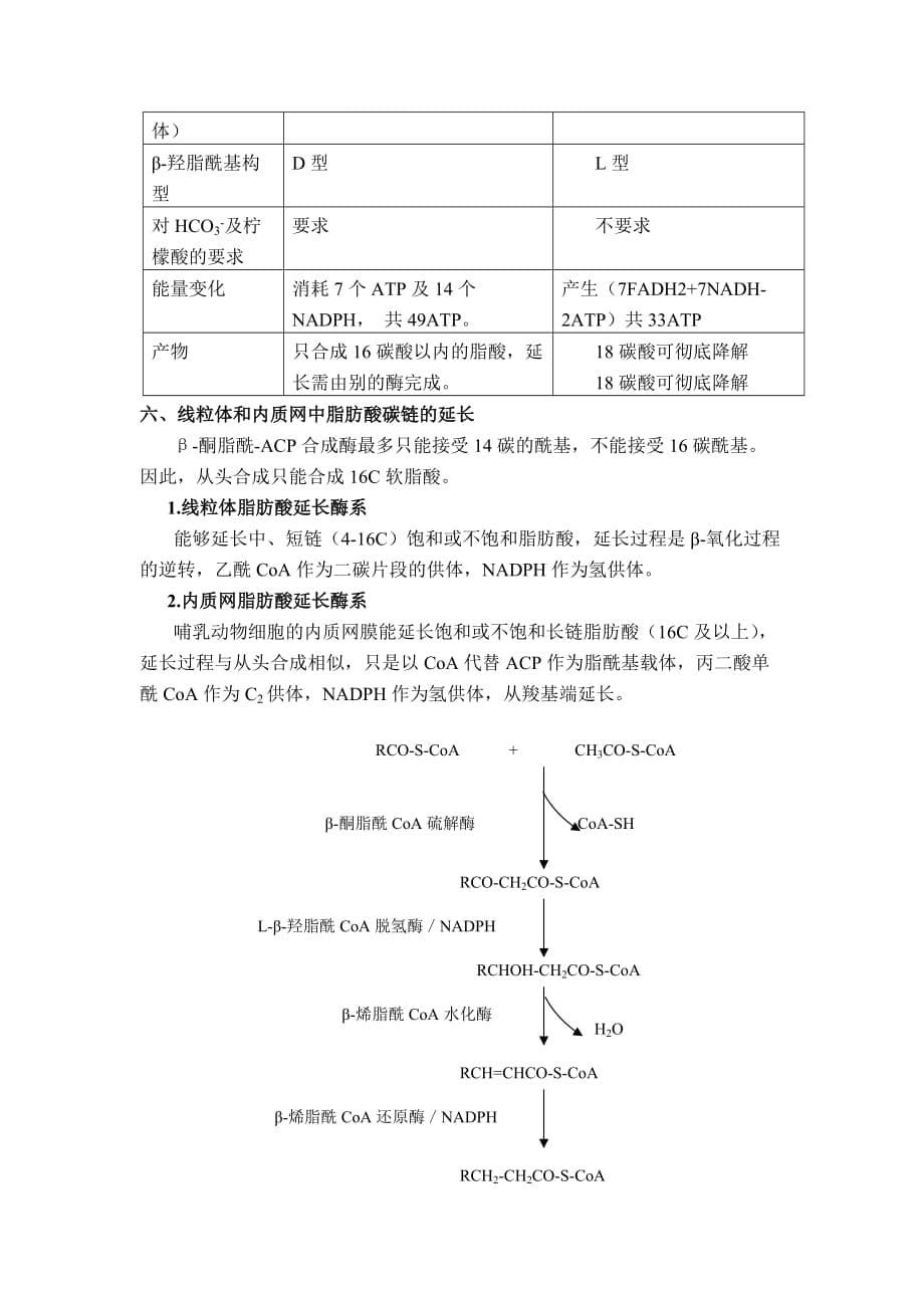 (生物科技)第29章脂类的生物合成doc欢迎光临生物工程系！精品_第5页