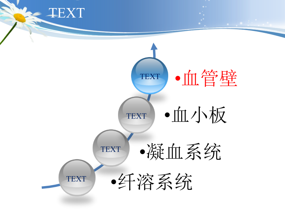 凝血机制_止血药_第4页