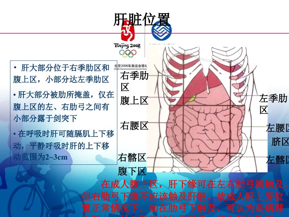 肝脏结构及相关病理常识PPT_第4页