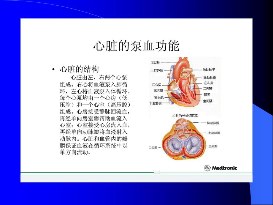 心衰的血流动力学.ppt_第2页